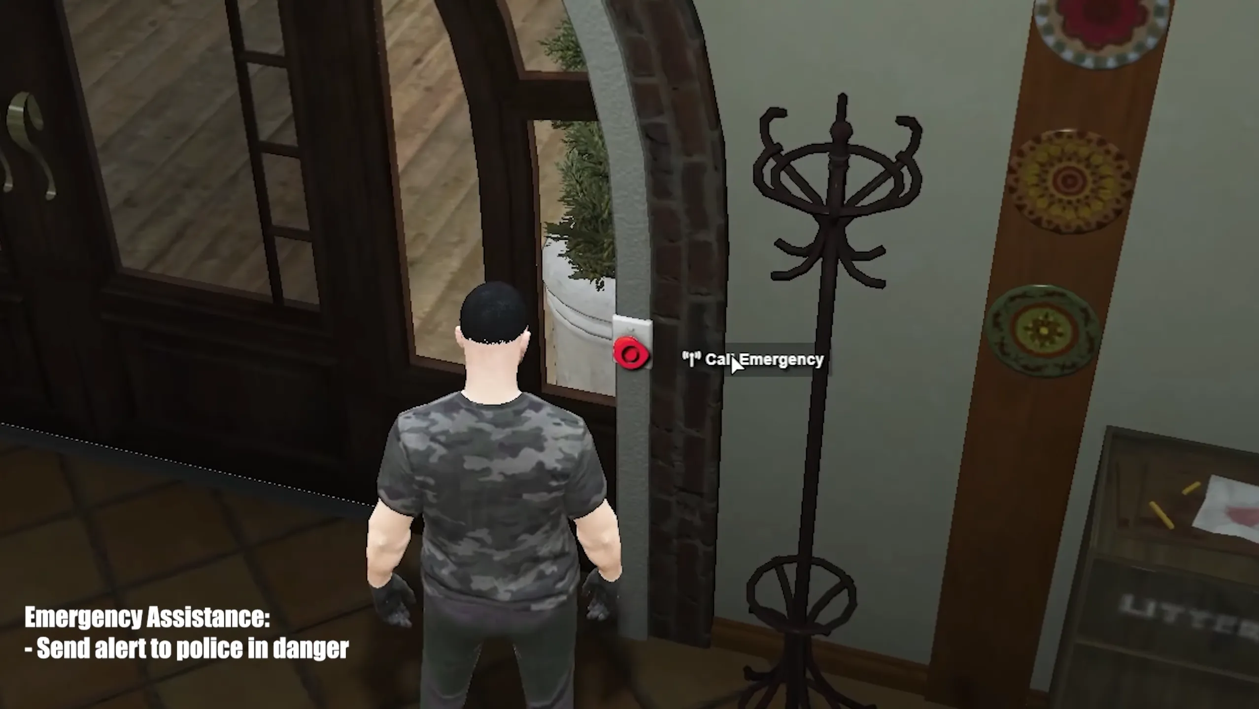 Emergency Assistance